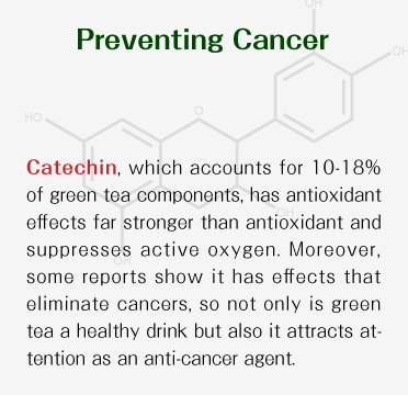 Preventing Cancer - Catechin, which accounts for 10-18% of japanese green tea components, has antioxidant effects far stronger than antioxidant and suppresses active oxygen. Moreover, some reports show it has effects that eliminate cancers, so not only is japanese green tea a healthy drink but also it attracts attention as an anti-cancer agent.