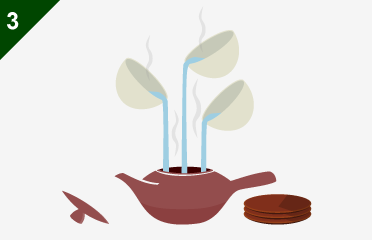 How to Prepare Japanese Tea 3