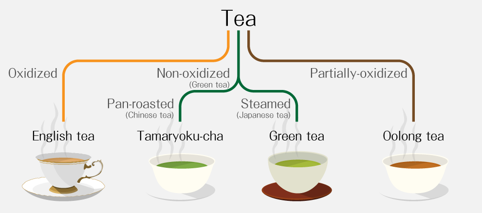 [Oxidized] English tea, [Partially-oxidized] Oolong tea, [Non-oxidized (Japanese japanese green tea): Pan-roasted (Chinese tea)] Tamaryoku-cha, [Non-oxidized (Japanese japanese green tea): Steamed (Japanese tea)] Japanese japanese green tea
