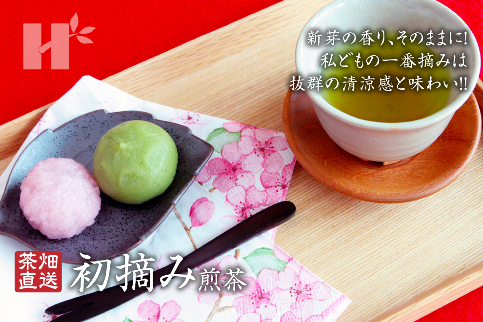 Hagimura Seicha | Products - First-Picked Sencha