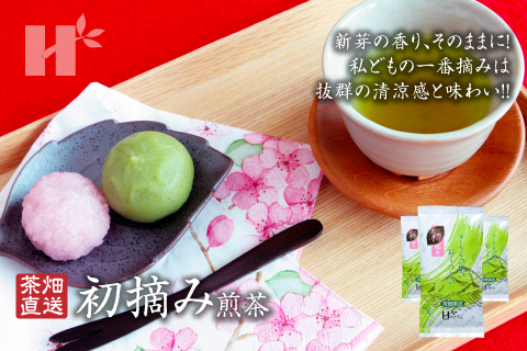 Hagimura Seicha | Products - First-Picked Sencha